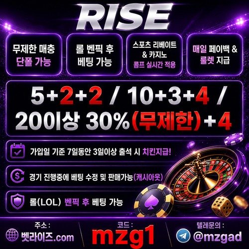 라이즈 마징가 커뮤홍보.jpg